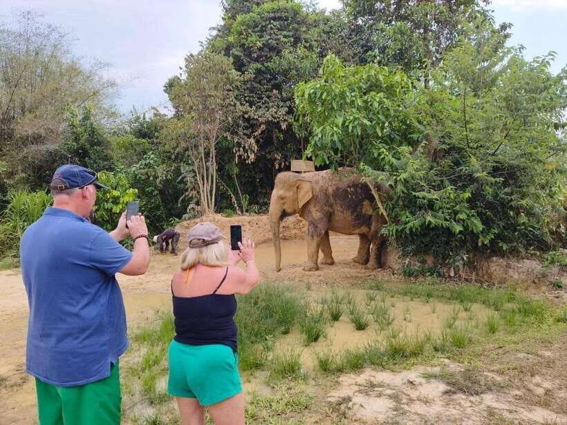 Elephant Sanctuary Cambodia, Pickup and drop off included - River Pond Bathing: The Cool-Down, the Scrub, and the Photos