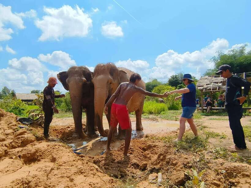Elephant Sanctuary Cambodia, Pickup and drop off included - What’s Included—and Why It Matters