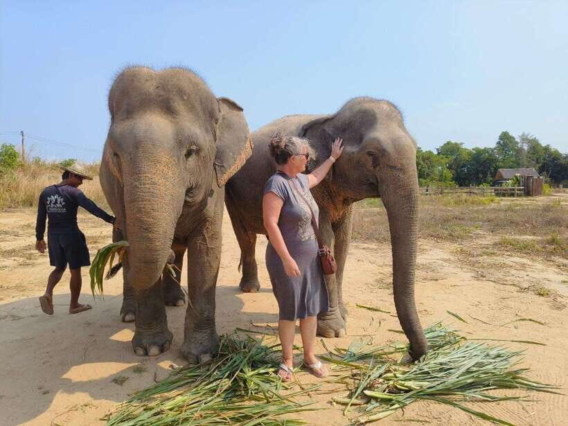 Elephant Sanctuary Cambodia, Pickup and drop off included - Time, Price, and Value for a 3-Hour Sanctuary Visit