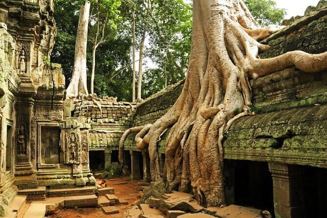 Exclusive Angkor temples and Small group temples tours - Key moments to expect (quick hits)