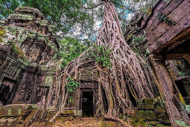 Explore Angkor Sunrise Spectacle a Full Day Temples Tour - Price and value: what you pay, what you still budget