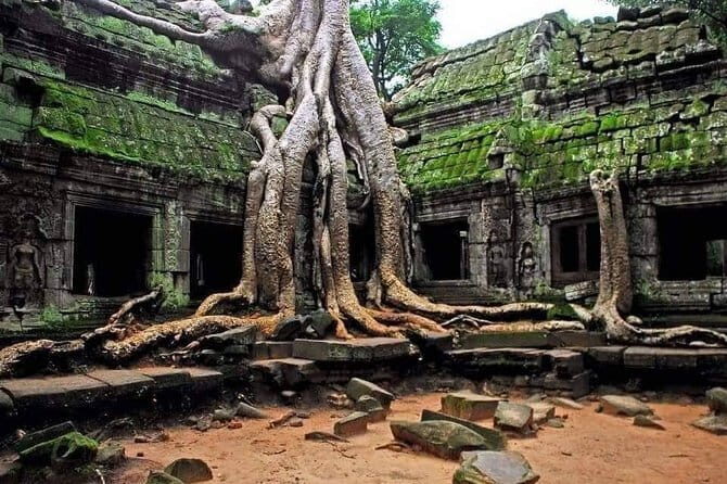 Explore Angkor Wat Sunrise Small Tour Private VIP Car - Why an Angkor Wat sunrise start at 4:30am is worth it