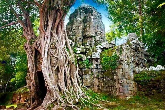 Explore Angkor Wat Sunrise Small Tour Private VIP Car - Angkor Wat at first light: what to expect and how to enjoy it