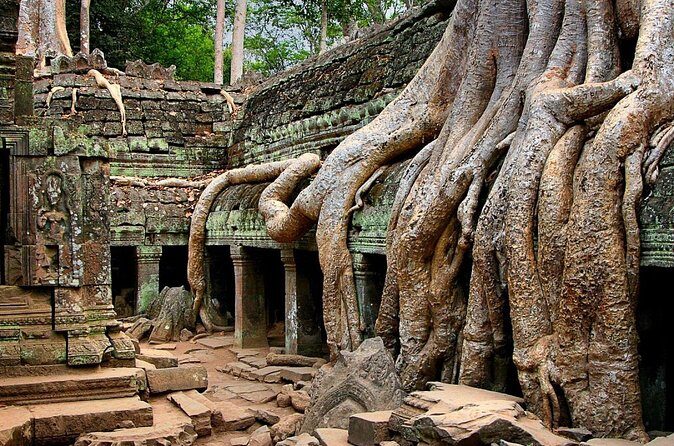 Explore Angkor Wat Temple , Bayon Temple and Jungle Temple Ta-Prohm - Who this private tour suits best