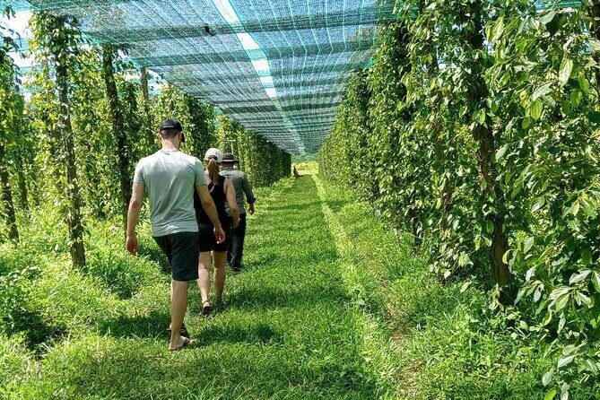 Exploring Kampot: A Memorable Tour from Sihanoukville - Key things I’d pin on your map