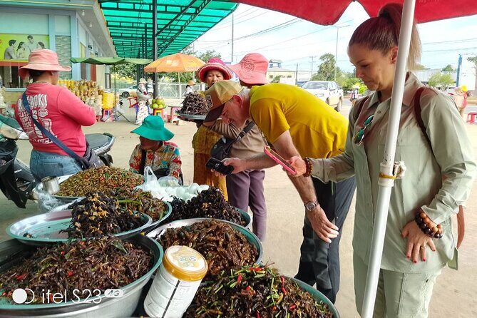 Exploring Siem Reap: Scenic Journey from Phnom Penh or Vice Versa - The driver: why language and flexibility matter on a day like this