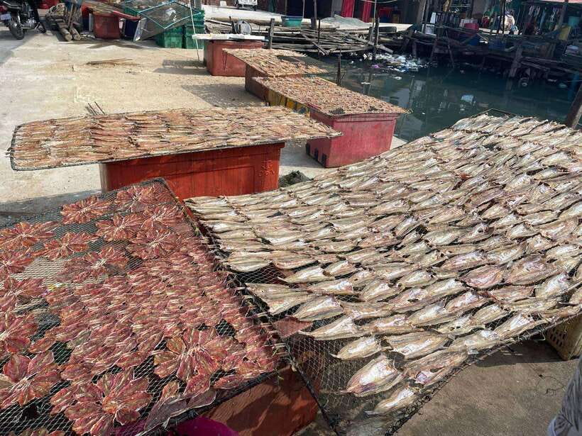 Exploring Sihanoukville: Shore Excursions from Cruise Ports - Price and value: what $59 buys you (and what it doesn’t)
