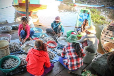 Floating Village and Tonlé Sap Sunset Tour - The countryside drive: air-con comfort before the water starts