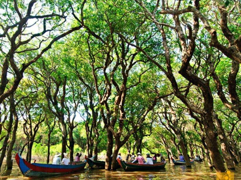 Floating Village-Mangroves Forest Tonle Sap Lake Boat Tour - The Siem Reap cultural loop after the water: what it adds (and what to watch)