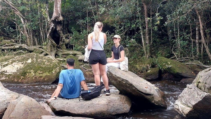 From Kampot: Bokor National Park Scenic Tour - Bokor National Park: jungle views plus landmark stops