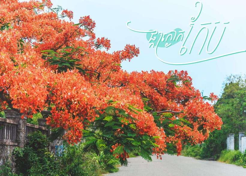 From Phnom Penh: Kampot and Kep Day Trip with English Guide - La Plantation: shopping and a final guided wrap-up