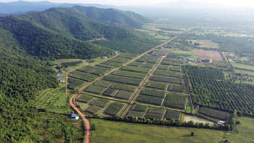 From Phnom Penh: Kampot Day Trip to Beautiful place W/ Guide - Key highlights worth your attention