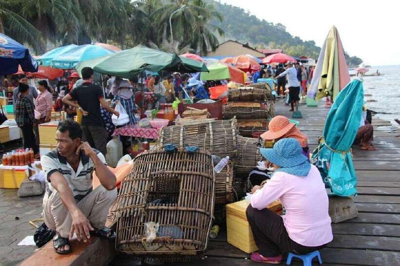 From Phnom Penh: Kampot Day Trip to Beautiful place W/ Guide - Value check: is $49 a good deal for this private day?