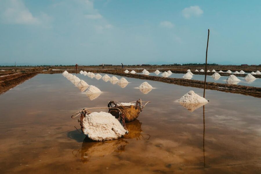 From Phnom Penh: Kampot Day Trip to Beautiful place W/ Guide - Salt fields in Kampot: fascinating in dry season, variable if timing is off