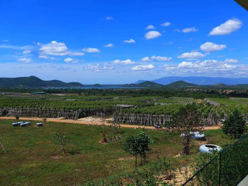 From Phnom Penh: Kampot Day Trip to Beautiful place W/ Guide - The Kampot seahorse statue and Prek Terk Chuu: a smart photo-and-pause stop