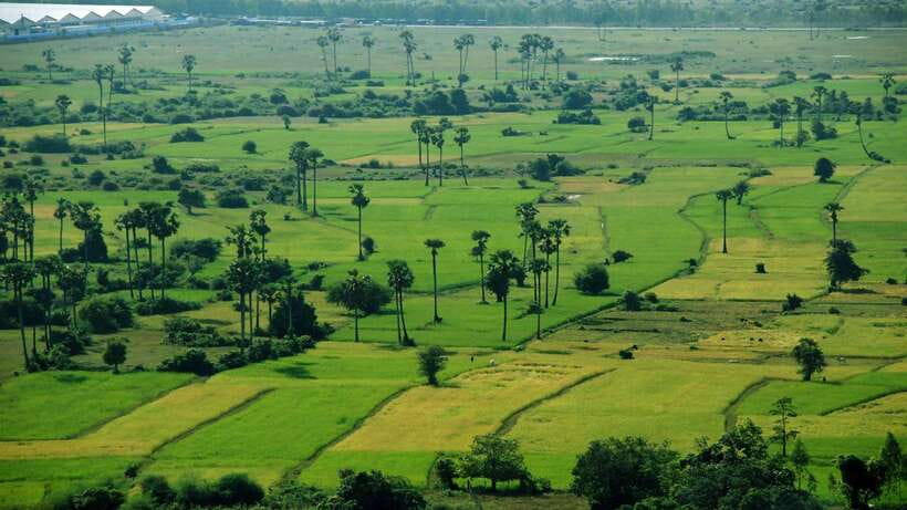 From Siem Reap: Battambang Day Trip Bamboo Train, Bats Cave - Price and Logistics: Is $159 Good Value?