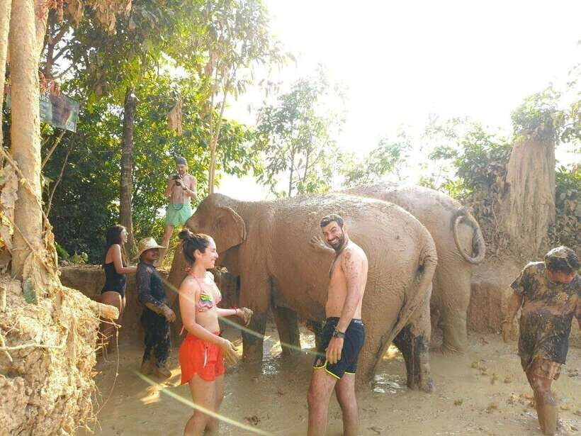 From Siem Reap: Elephant Sanctuary Experience with Transfers - Key Things You’ll Remember Most