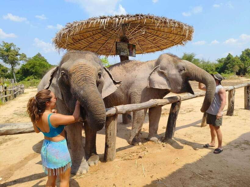 From Siem Reap: Elephant Sanctuary Experience with Transfers - Who Should Book This (and Who Might Want to Skip It)
