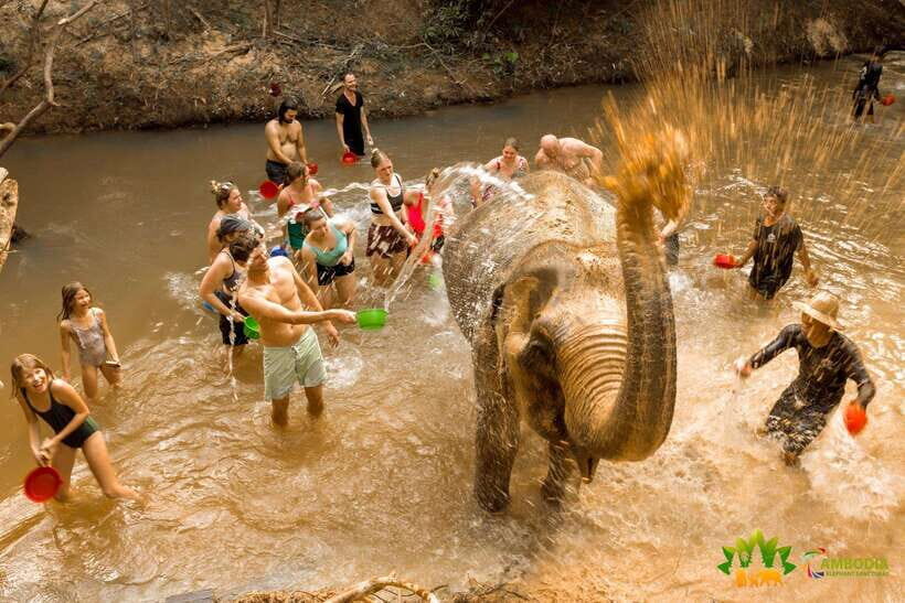 From Siem Reap: Elephant Sanctuary Experience with Transfers - Elephant Bathing at the Creek or River-Style Wash