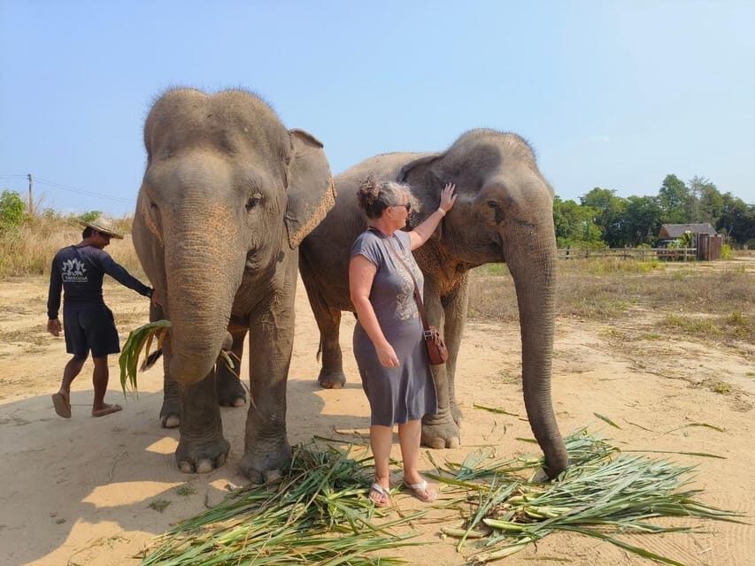 From Siem Reap: Elephant Sanctuary Experience with Transfers - Price and Value: Is $69 a Fair Deal?