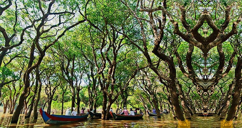 From Siem Reap: Floating Village Tour by Boat - Price and value: is $26 a fair deal for this day?