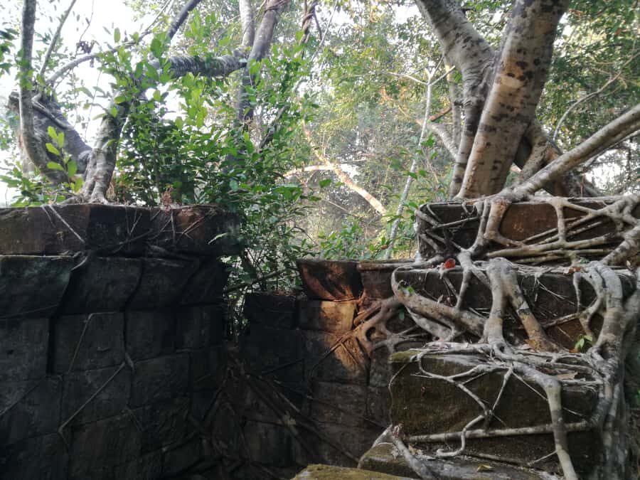 From Siem Reap: Half-Day Tour to Beng Mealea Temple - Exploring the tumbled blocks and that jungle path feeling