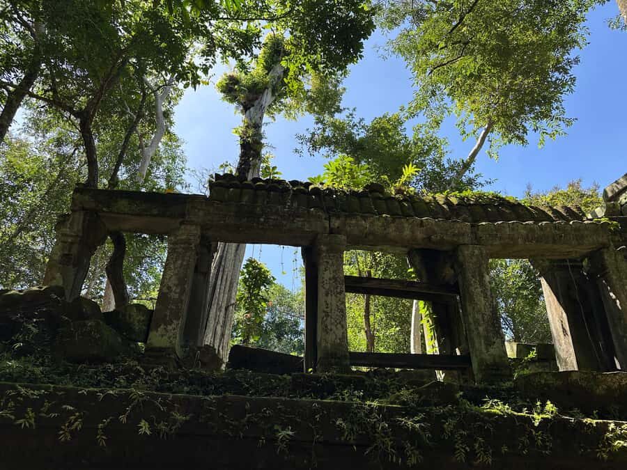 From Siem Reap: Half-Day Tour to Beng Mealea Temple - Timing in Siem Reap: morning 07:00 vs afternoon 02:00