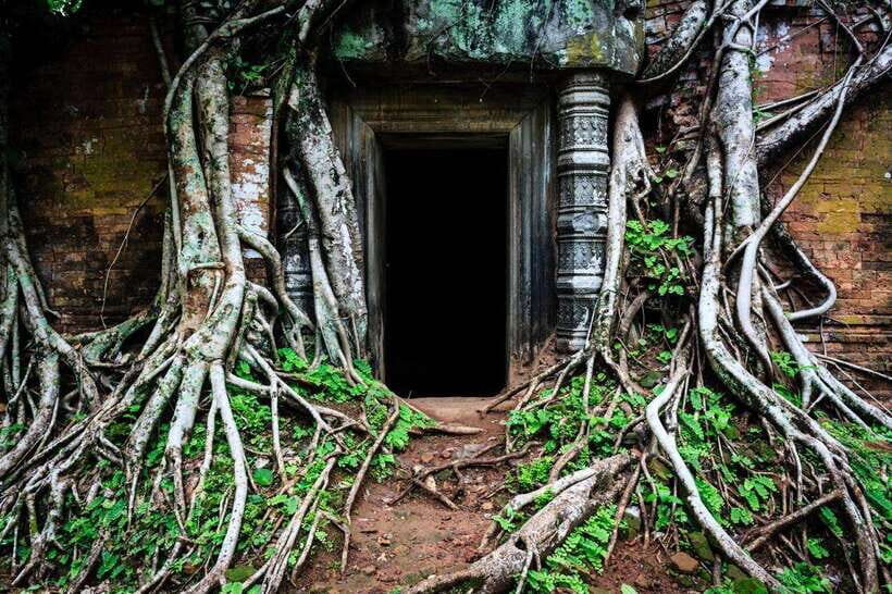 From Siem Reap: Koh Ker and Beng Mealea Temples Tour - What to wear, what to bring, and how much walking is involved