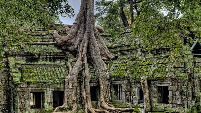 Full-Day Angkor Wat Sunrise and Sunset Private Tour - Price and logistics: how $71 becomes a full day out
