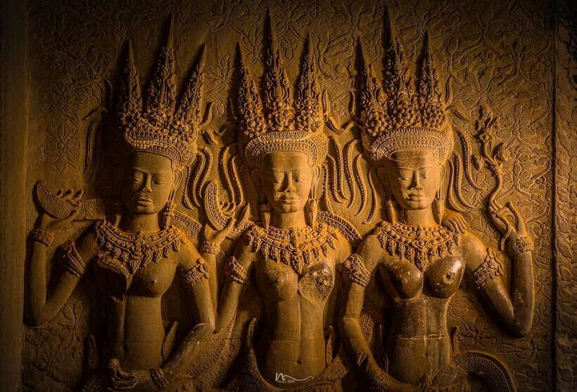 Full-Day Angkor Wat Sunrise and Sunset Private Tour - Ta Prohm like you’ve seen in Tomb Raider, with roots that steal the show
