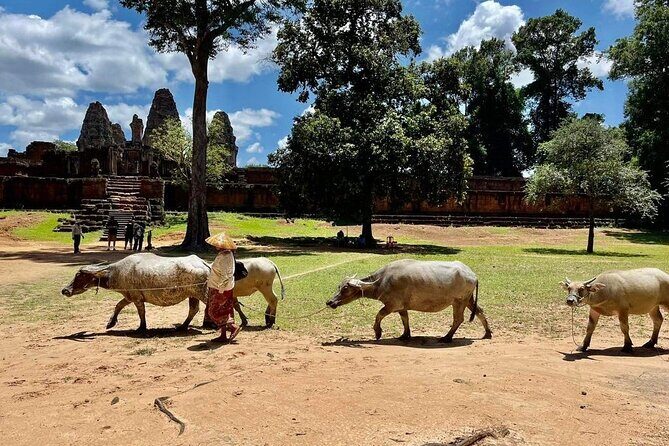 Full-Day 'Big Tour' with Sunset at Phnom Bakheng - Neak Pean: The Island Shrine Moment