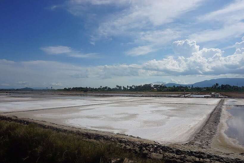 FULL DAY - Countryside Tuk-Tuk Pepper Tour + Kep - Kampot Pepper Plantation: The Day’s Most Useful Knowledge
