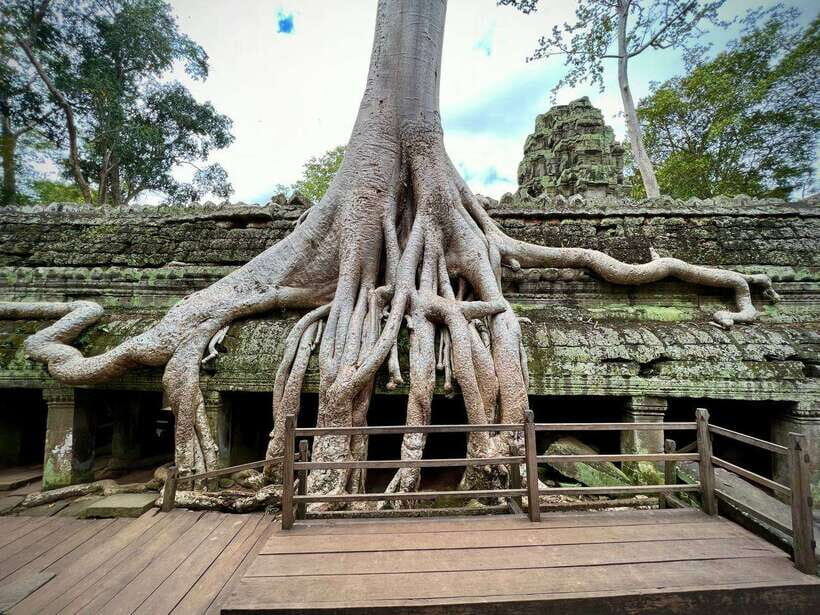 Full Day Private of Angkor Wat Tour with Tuk Tuk - Angkor Thom and Bayon Temple: Smiling Faces in Jungle Surroundings