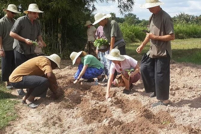 Full Day Siem Reap Farm Tour with Cooking Class and Monk Blessing - Who this tour fits best (and who should skip it)