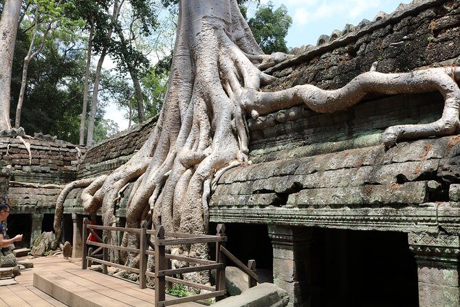 Full Day Temples Explorer - Small Group - Ta Prohm: jungle atmosphere and a slower kind of awe