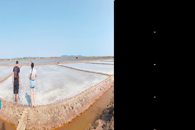 Full day Tour, Countryside, Pepper farm & Kep, crab market... - Salt fields: the short stop that explains a big product