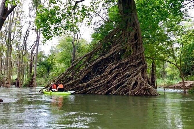 Full Day Tour from Siem Reap - Bamboo Train, Killing Cave & Sunset - Phnom Sampeau before sunset: waiting with a purpose