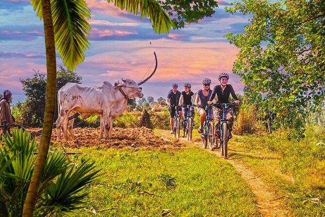 Grand Tour-Ek Phnom. Baset. Bamboo Train. Wat Banan. Phnom Sampov - Value check: what $45 covers (and what costs extra)