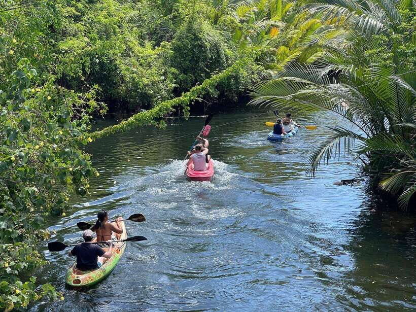 Green Cathedral Kayaking Journey & Reflection River View - Your 3-Hour Plan in Kampot: Pickup to Sunset Chilling