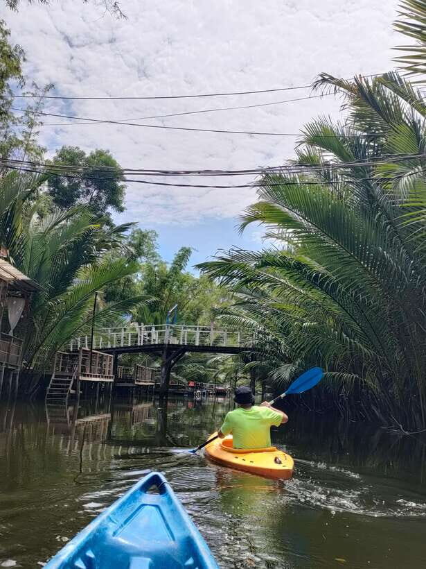 Green Cathedral Kayaking Journey & Reflection River View - Price and Value for $28: What You Get (and What You Don’t)