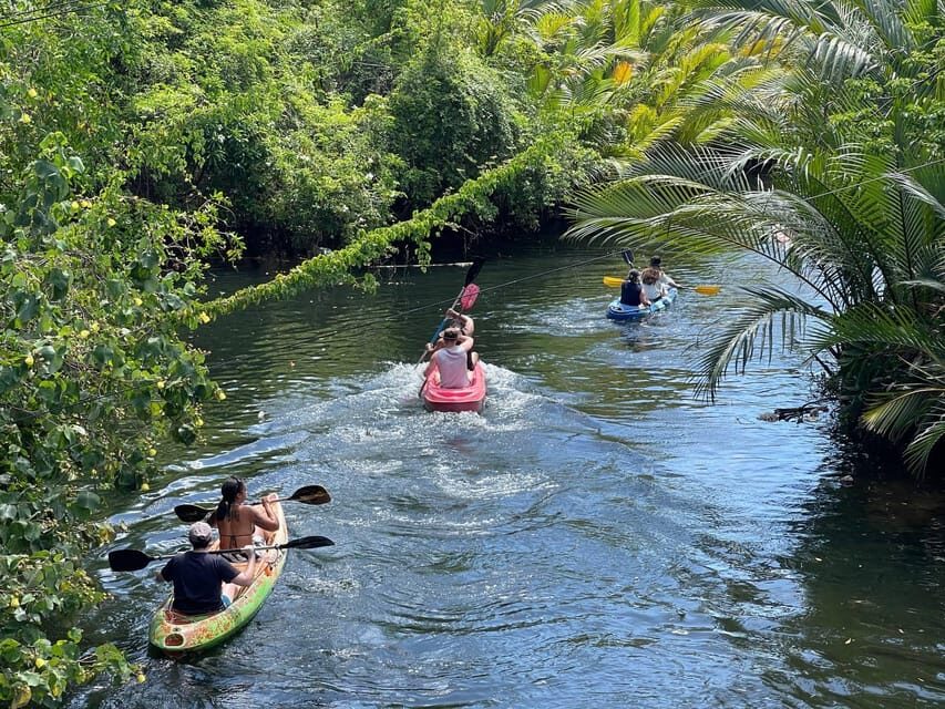 Green Cathedral Kayaking Journey & Reflection River View - Who This Kayaking Tour Suits Best (and Who Might Want to Pick Something Else)