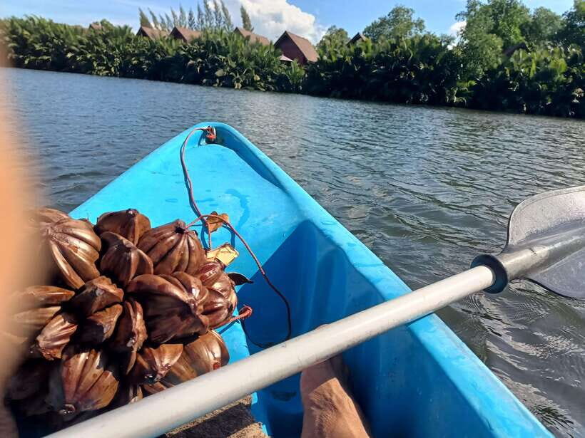 Green Cathedral Kayaking Journey & Reflection River View - Should You Book This Green Cathedral Kayak Reflection Trip?