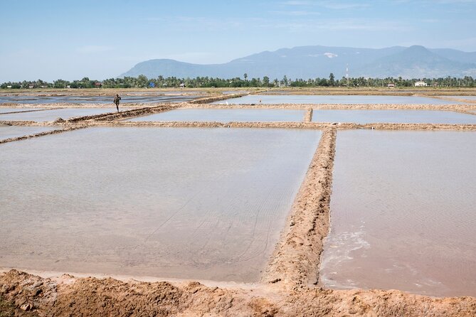 Half-Day Adventure to the Pepper Farm by Scooter - Getting started at Butterfly Tours in Kampot