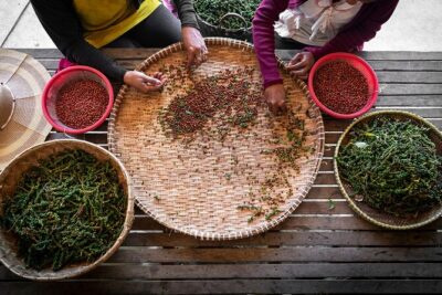 Half-Day Adventure to the Pepper Farm by Scooter - Stop by Stop: Salt farm, paddy fields, cave temple, Secret Lake