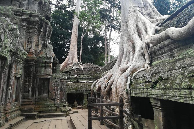 Half Day Angkor Wat Sunrise Private Tour - Why a sunrise-first plan makes Angkor Wat hit harder