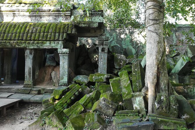 Half Day Angkor Wat Sunrise Private Tour - Angkor Wat: when the light turns the stone into story
