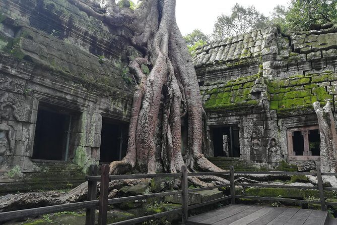 Half Day Angkor Wat Sunrise Private Tour - The early morning schedule (4:30 am) and how to prepare