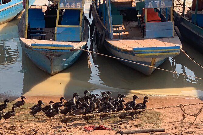 Half Day Floating Village ( Mechrey) & Tole Sap Tour - The deep-fried crickets: go for the story, not the crunch