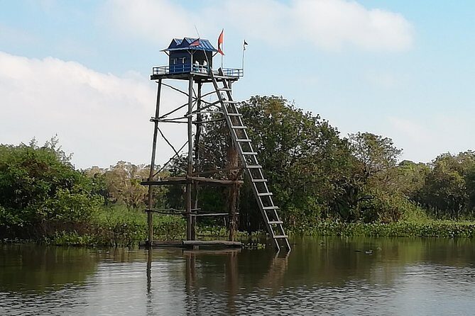 Half Day Floating Village ( Mechrey) & Tole Sap Tour - Transfers, guides, and pacing: private, AC comfort, and a schedule that fits