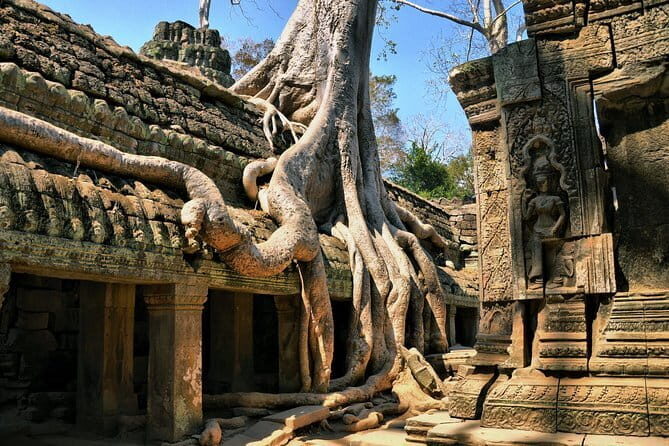 Half Day River Monster Tour with Private Guide in Siem Reap - Who should book this tour, and who might want to look elsewhere